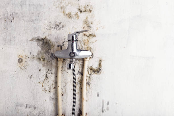 Best Residential Mold Remediation in Crystal Falls, MI