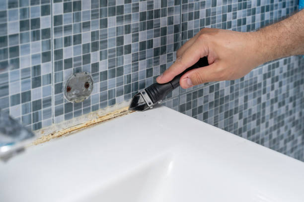 Best Mold Remediation for Specific Building Types in Crystal Falls, MI