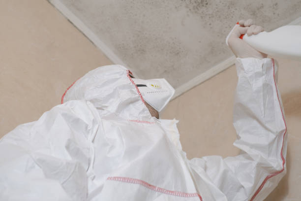 Best Mold Testing and Inspection Services in Crystal Falls, MI